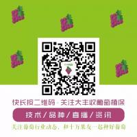 中国葡萄买卖群