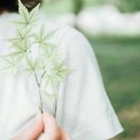 江苏南通~刘律师法律咨询群