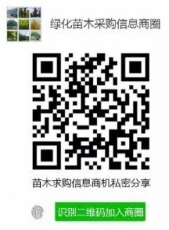 苗木供求商圈群二维码
