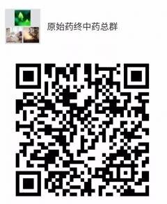 原始药终微信群二维码