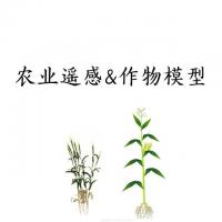 农业遥感与作物模型