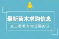 苗木供求商圈群