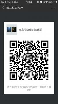 青岛及周边全职招聘群