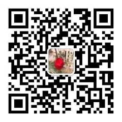 吉利人力资源