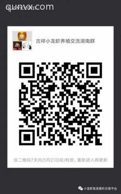 湖北江苏湖南小龙虾养殖沟通群二维码