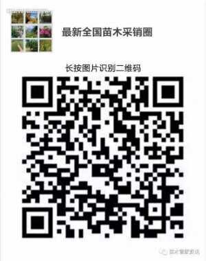 全国苗木沟通群