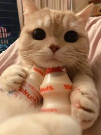求职高薪工作找群主