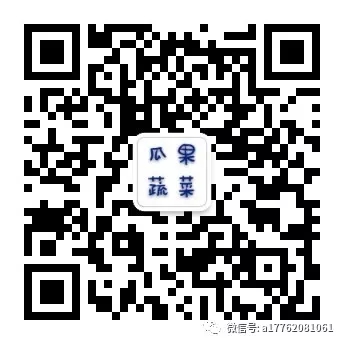 瓜果蔬菜沟通群