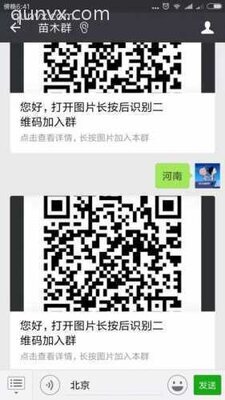 国内苗木沟通群二维码