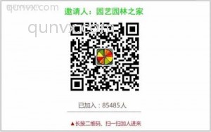 绿化种子交易群