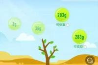 蚂蚁森林互偷能量加好友群