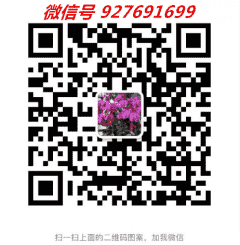 公众号微信群