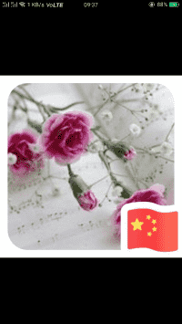 淘宝精品购物群