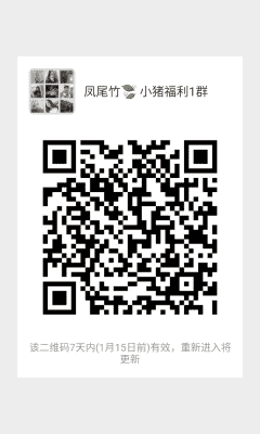 凤尾竹二维码
