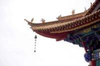 济南生活旅游群