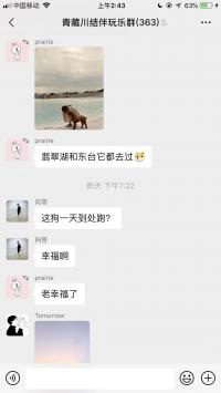 青海，西藏旅游结伴群二维码