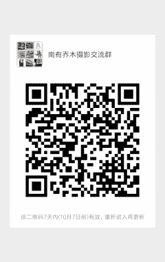 南有乔木摄影沟通群二维码