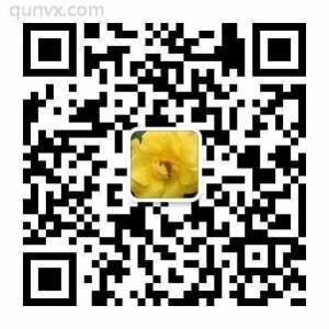 友谊天长地久摄影休闲群