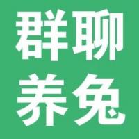 养兔沟通群
