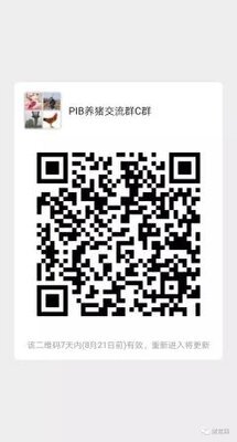 PIB养猪沟通群二维码