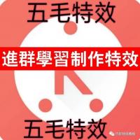 伍毛特效进群学习