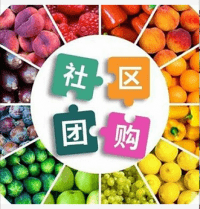 创业副业经验分享群