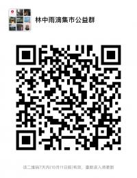 林中雨滴集市公益群