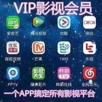 全网影视会员项目