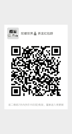 陀螺世界二维码