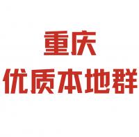 重庆本地优质群