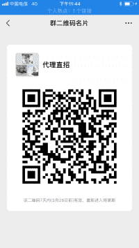 直招代理扶持