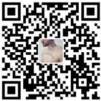 免费代理分享群