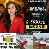袜元素（抗菌防臭袜）