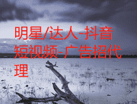 明星达人短视频招代理