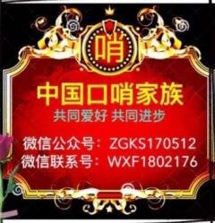 中国口哨爱好者沟通群二维码