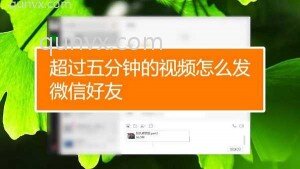微信群长视频