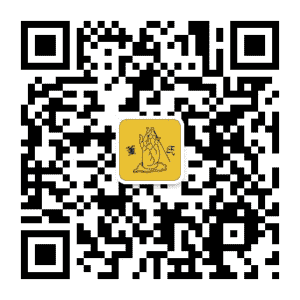小儿保健群