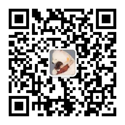 实体店门店群
