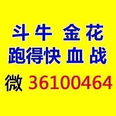 哪有斗牛微信群?