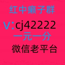 想玩麻将打牌群一元一分红中麻将