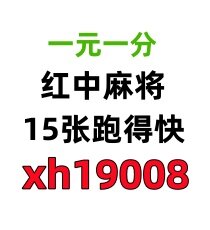 （发奋图强 ）怎么加入一元一分红中癞子麻将群