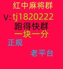 想玩麻将群打牌群红中麻将哪里找二维码