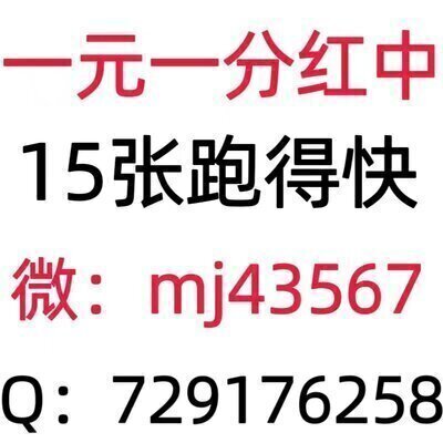 全天手机一元一分红中麻将群哪里有