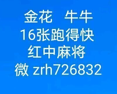 红中麻将一元一分