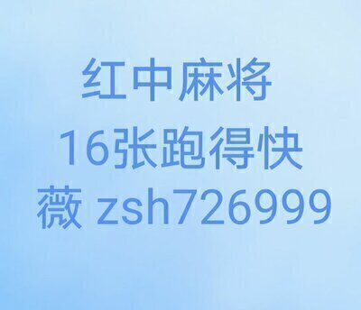 红中麻将一元一分微信群