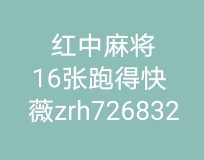正规红中麻将一元一分