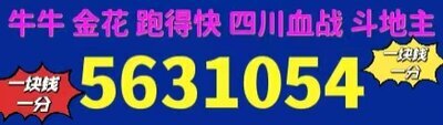 一块钱一分血战麻将上下分群哪里有