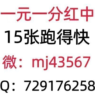 在线手机一元一分红中麻将跑得快群这里有