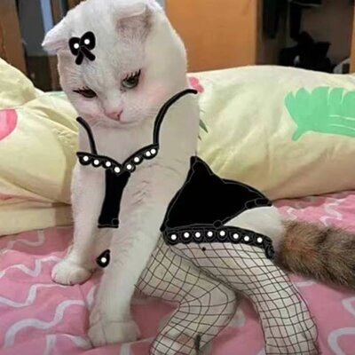 落诗