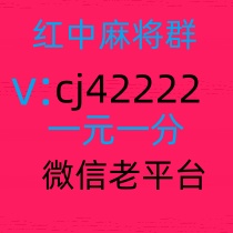 【红中麻将】手机上玩的一元打牌麻将群推荐一个详细教程
